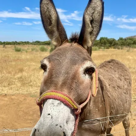 Semesterbostad Maciasdehesa
